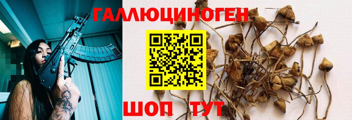 Куйбышев  Псилоцибиновые грибы прущие грибы  Вход с VPN 